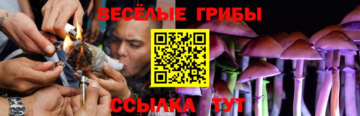 купить наркотики сайты  Псилоцибиновые грибы Psilocybine cubensis  Вход с VPN  Луга  Галлюциногенные грибы мицелий 